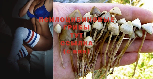 mdma Нефтекумск