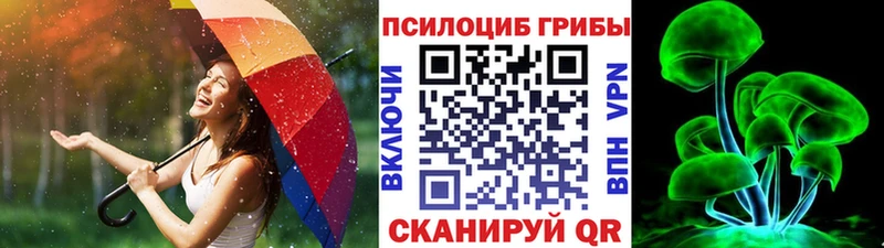 Псилоцибиновые грибы MAGIC MUSHROOMS  KRAKEN как зайти  Уржум  наркота 